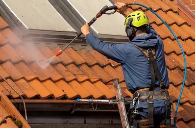 Démoussage et hydrofuge de toiture à Lalonquette